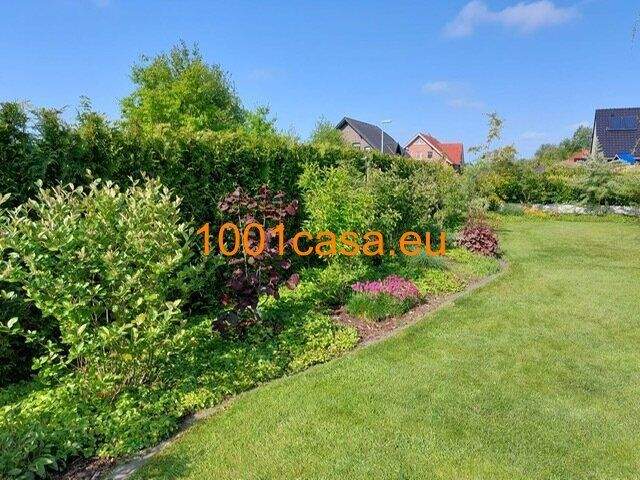 Immobilie in Rechtsupweg - Einfamilienhaus mit Garage, gepflegter Garten mit Teich, kein Reparaturstau, direkt bezugsfähig, Klinkerfassade, ruhige Wohnlage mit 1-Familienhäusern - Bild 3