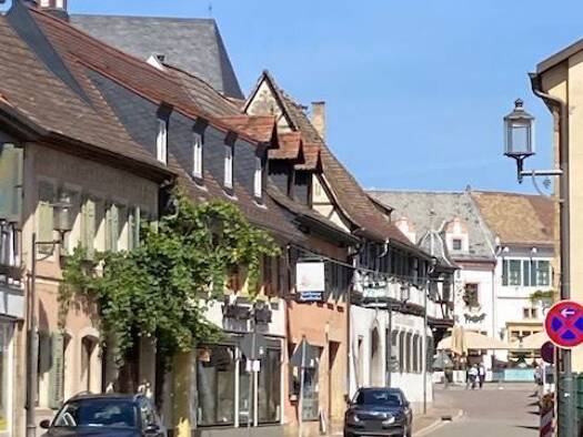 Wohnung zur Miete 480 € 1 Zimmer 20,5 m² frei ab sofort Deidesheim Deidesheim 67146