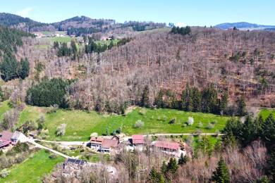 Grundstück zum Kauf 13.500 € 27.262 m² Grundstück Sattelhof 1 Raitbach Schopfheim 79650