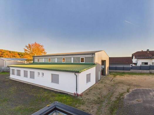 Lagerhalle zum Kauf 480.000 € 315 m² Lagerfläche Weiskirchen 66709