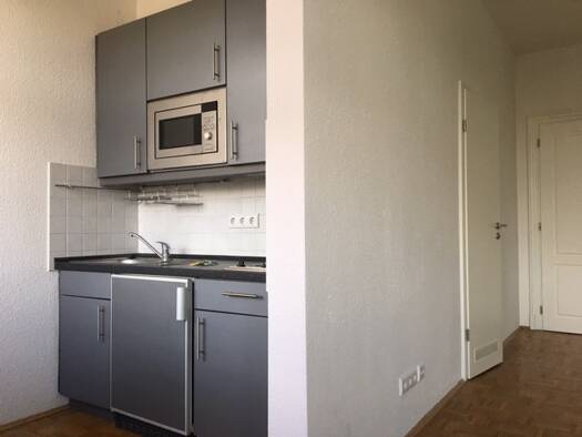 Wohnung zur Miete 339 € 1 Zimmer 29 m² 2. Geschoss frei ab sofort Ludwig-Wucherer-Straße 87 Paulusviertel Halle (Saale) 06108