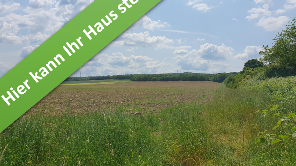 Einfamilienhaus zum Kauf - Erstbezug provisionsfrei 355.750 € 5 Zimmer 142 m² 657 m² Grundstück Felsweg Salder Salzgitter 38229