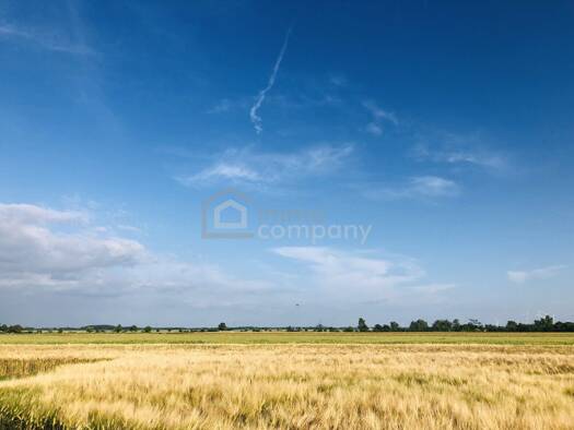 Land-/Forstwirtschaft zum Kauf 98.000 € 15.559,5 m² Grundstück Pama 2422