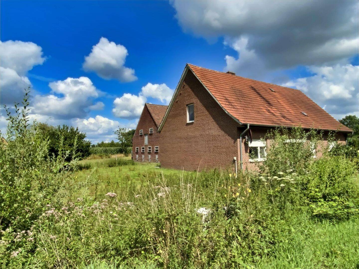 Immobilie in Ahaus - Einfamilienhaus mit großem Grundstück und Nebengebäuden - Bild 1