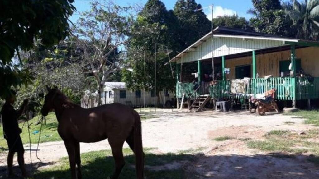 Haus zum Kauf 2.950.000 € 1 Zimmer 9.999.999 m² Grundstück Tefe 69558810