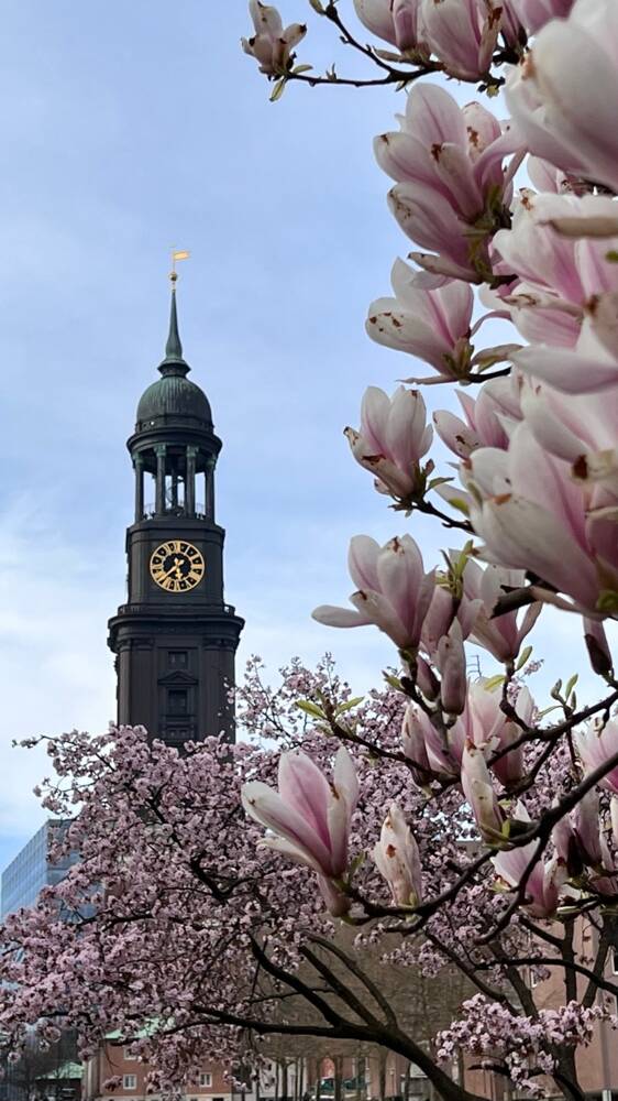 Wohnung zum Kauf