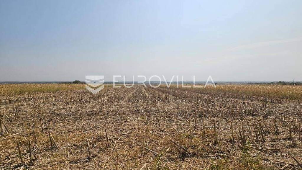 Land-/Forstwirtschaft zum Kauf 65.000 € Aljmas Erdut 31205