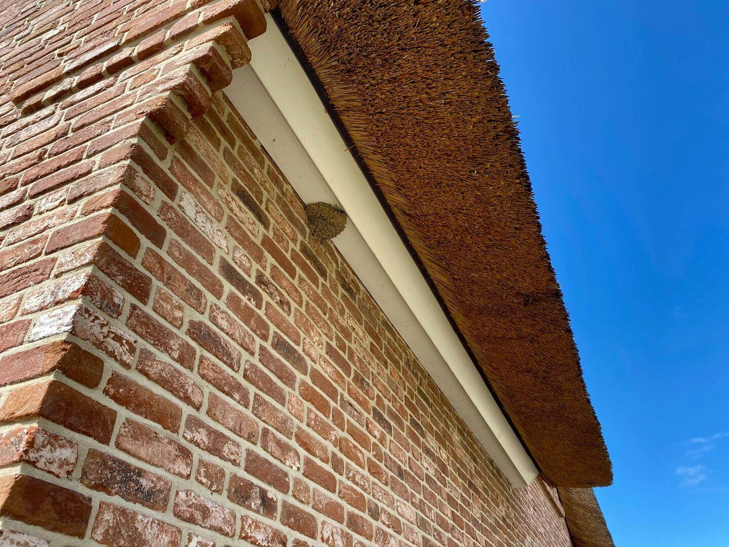 House in Kalkhorst OT Brook - Ansicht 4