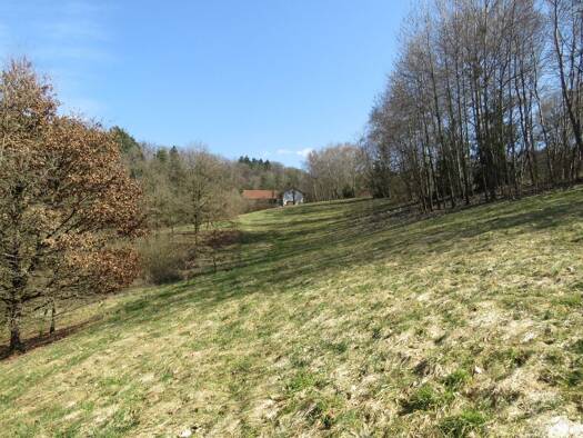 Einfamilienhaus zum Kauf 950.000 € 9 Zimmer 57.328 m² Grundstück Wolfstein Offenberg 94560