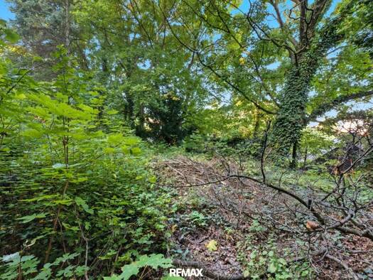 Grundstück zum Kauf 298.000 € 539 m² Grundstück Bisamberg 2102