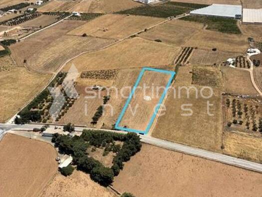 Land-/Forstwirtschaft zum Kauf 320.000 € Paros Municipality