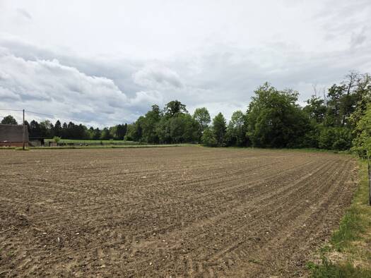 Grundstück zum Kauf 36.000 € 2.739 m² Grundstück Deutsch Goritz 8483