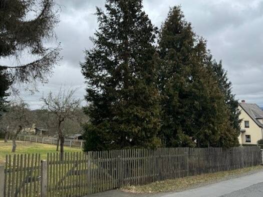 Grundstück zum Kauf 60.000 € 3.030 m² Grundstück Oelsnitz Oelsnitz 08606