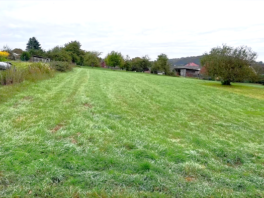 Grundstück zum Kauf 195.000 € 1.080 m² Grundstück Kohden Hessen - Nidda 63667