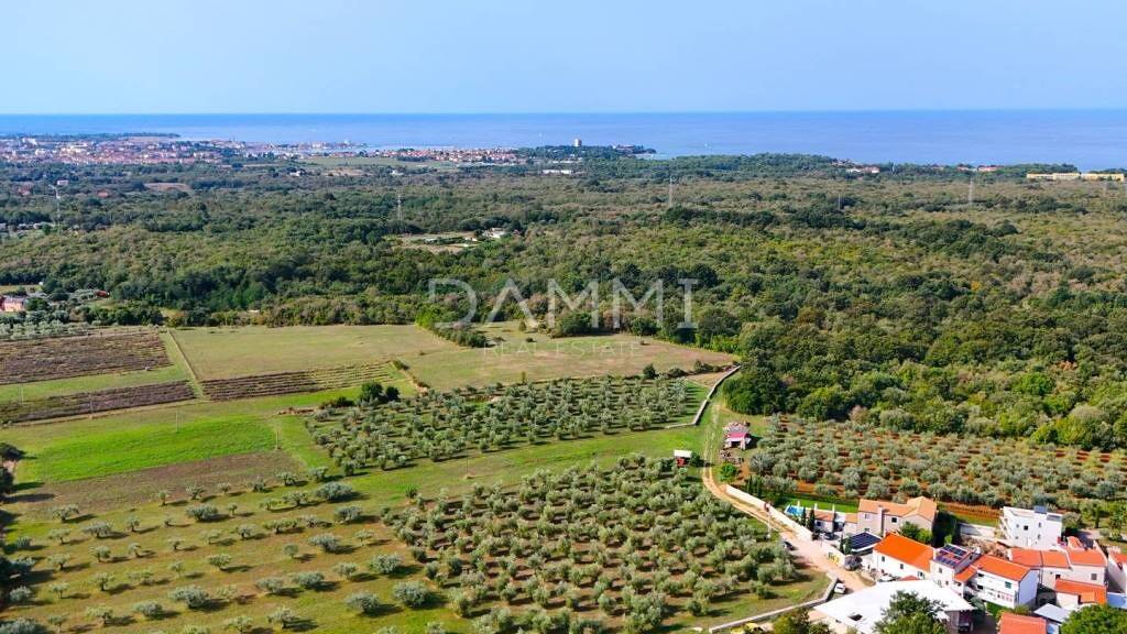 Land-/Forstwirtschaft zum Kauf 850.000 € Centar, Luka, Finida