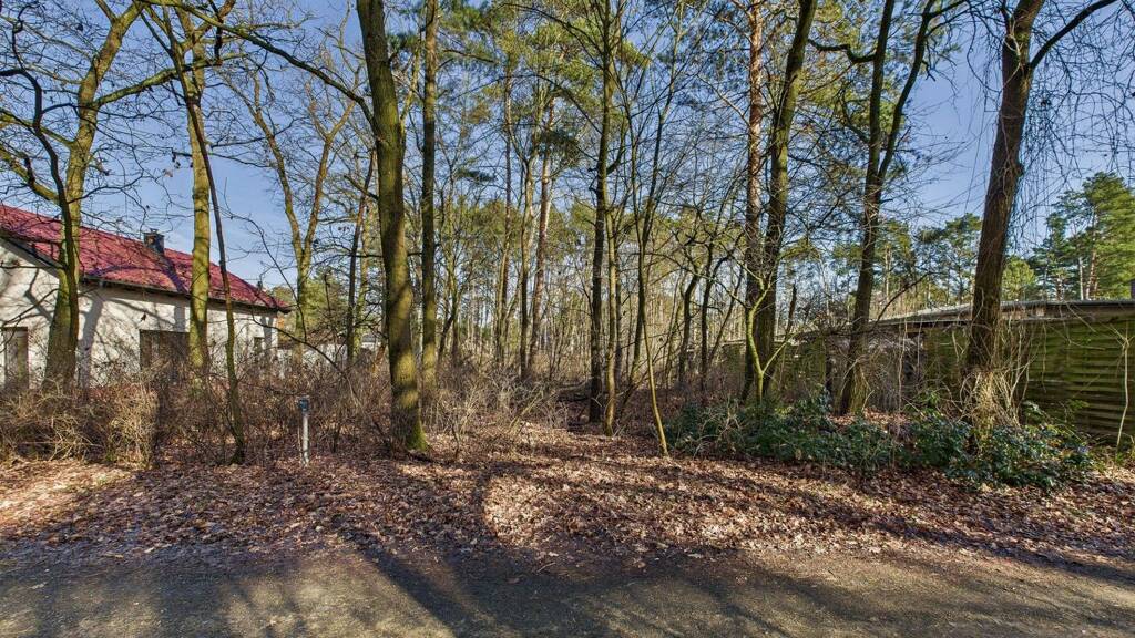 Grundstück zum Kauf 134.000 € 820 m² Grundstück Spreeau Grünheide (Mark) 15537