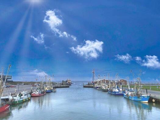 Doppelhaushälfte zum Kauf 179.000 € 4 Zimmer 72 m² 207 m² Grundstück frei ab sofort Westeraccumersiel Dornum 26553