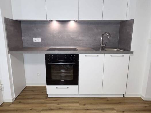 Wohnung zur Miete 620 € 1,5 Zimmer 40 m² Geschoss 3/4 frei ab sofort Gutleutstraße 8 Innenstadt Worms 67547