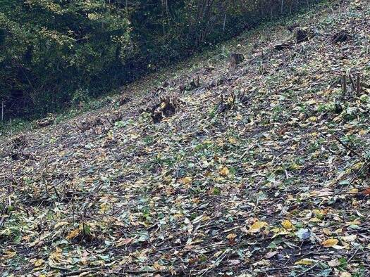 Grundstück zum Kauf 279.999 € 719 m² Grundstück Im Wiesengrund Schwarzenbruck 90592