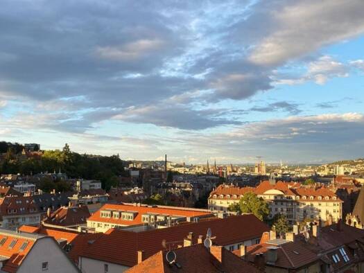 Loft zum Kauf provisionsfrei 299.500 € 2 Zimmer 45 m² Geschoss 4/5 frei ab sofort Liststraße 82 Süd Stuttgart 70180
