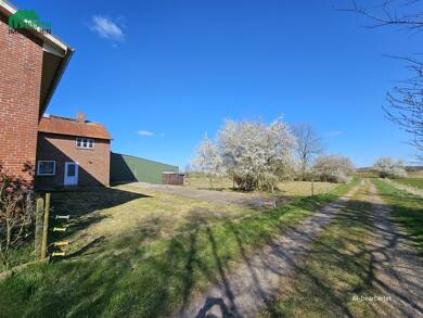 Haus zum Kauf 7 Zimmer 242 m² 35.872 m² Grundstück Haselund / Kollund 25855