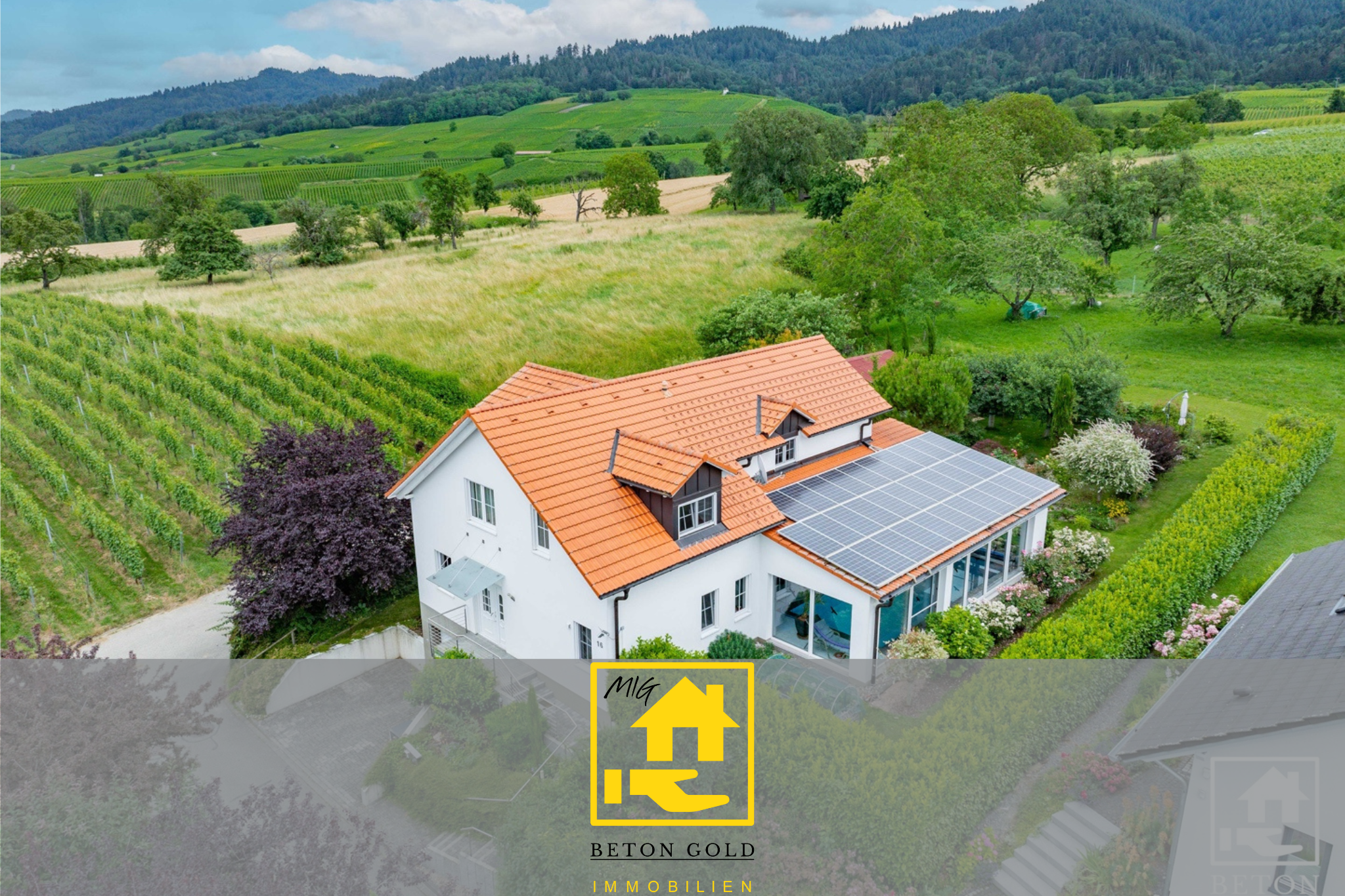 Villa zum Kauf 1.099.000 € 6 Zimmer 245 m²<br/>Wohnfläche 1.049 m²<br/>Grundstück Britzingen Müllheim im Markgräflerland 79379