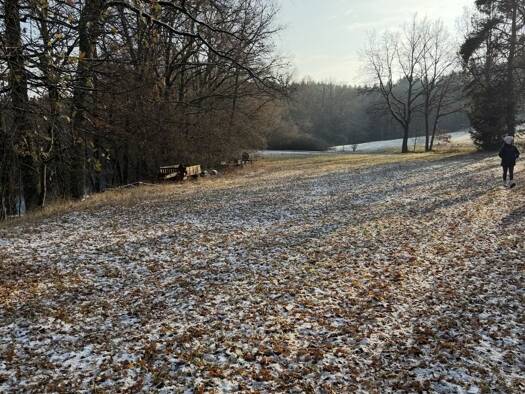 Grundstück zum Kauf 42.924 € 3.577 m² Grundstück Unterobsang Neudrossenfeld 95512