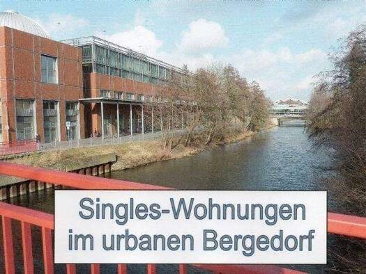 Wohnung zur Miete frei ab sofort Bergedorf Hamburg 21029