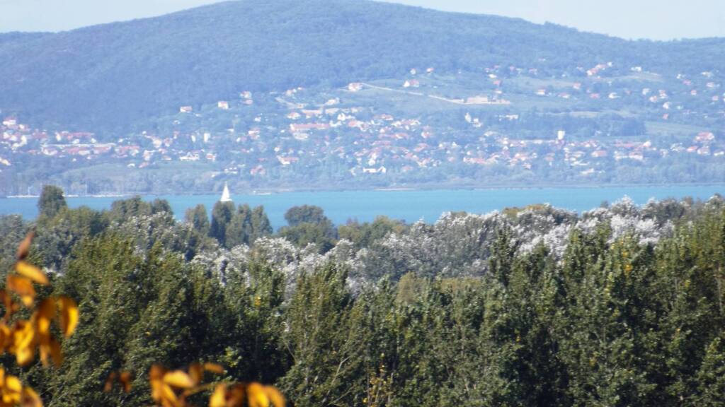 Grundstück zum Kauf 98.750 € 5.856 m² Grundstück Köröshegy 8617