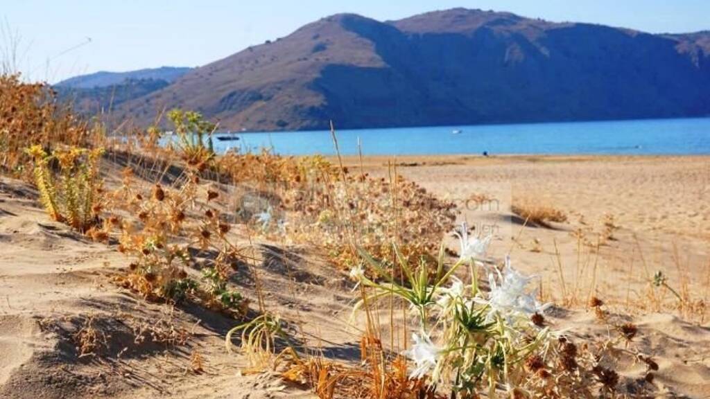 Grundstück zum Kauf 1.850.000 € 15.954 m² Grundstück Chania 73100