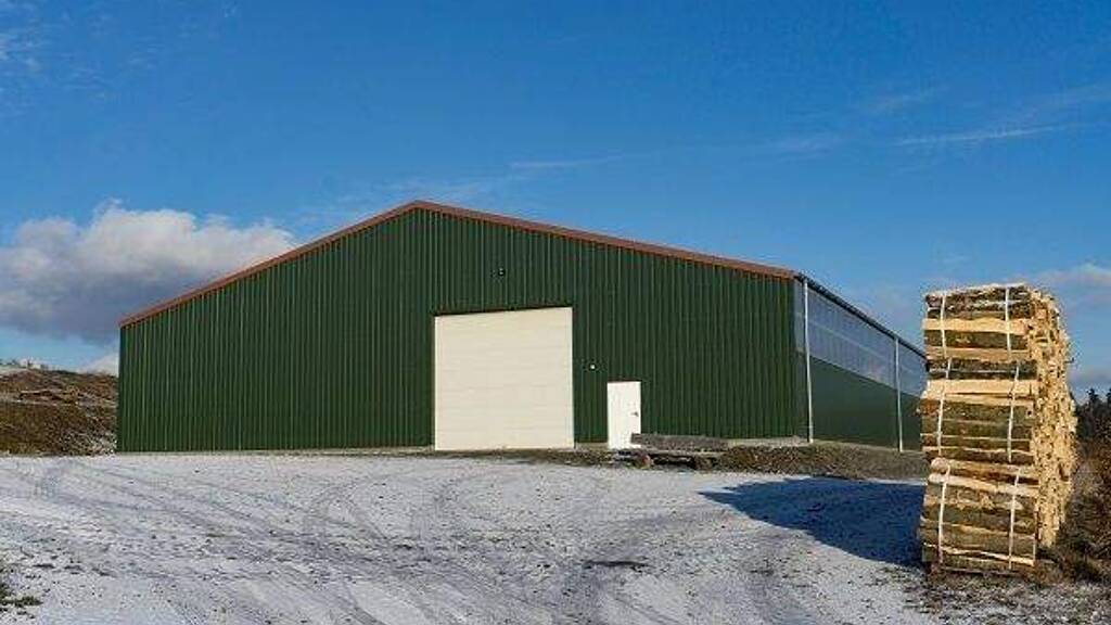 Produktionshalle zum Kauf 75.000 € 2.370 m² Lagerfläche Klostermansfeld 06308