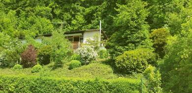 Einfamilienhaus zum Kauf provisionsfrei 285.000 € 160 m² 1.097 m² Grundstück Forchheim Forchheim 91301