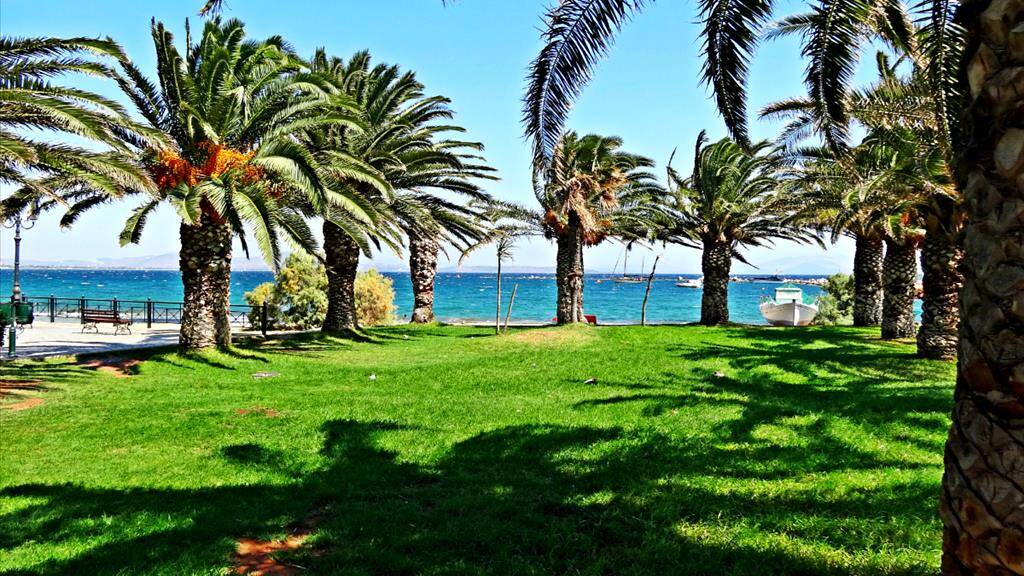 Land-/Forstwirtschaft zum Kauf 450.000 € 5.704 m² Grundstück Attika