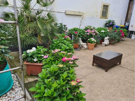 Bauernhaus zum Kauf 399.999 € 5 Zimmer 105 m² 480 m² Grundstück Erp Erftstadt 50374