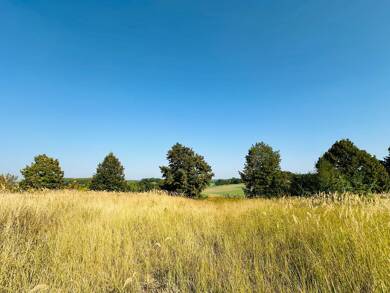 Grundstück zum Kauf 98.000 € 1.037 m² Grundstück Brüel Brüel 19412