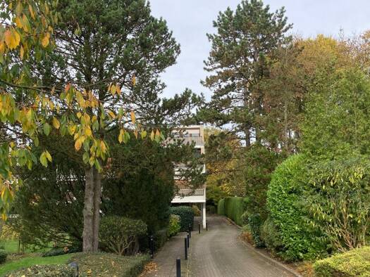 Terrassenwohnung zur Miete 1.290 € 2 Zimmer 54 m² Geschoss -1/4 frei ab 01.02.2026 Osdorf Hamburg 22549