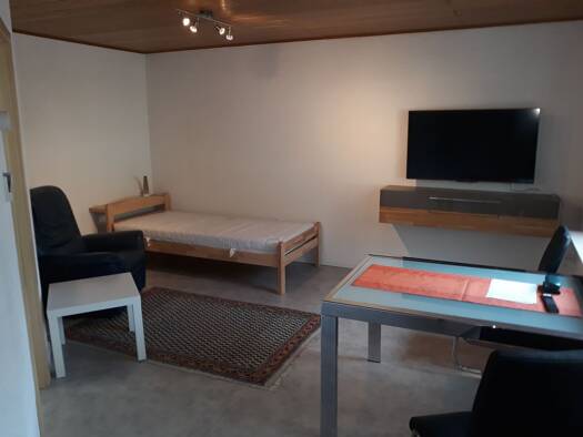 Wohnung zur Miete 480 € 1,5 Zimmer 36 m² Geschoss -1/1 frei ab sofort Lampertheim 68623