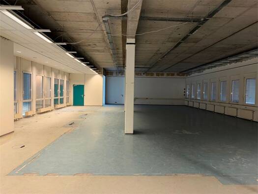 Laden zur Miete 9,50 € 1 Zimmer 305,6 m² Verkaufsfläche Teltow Teltow 14513