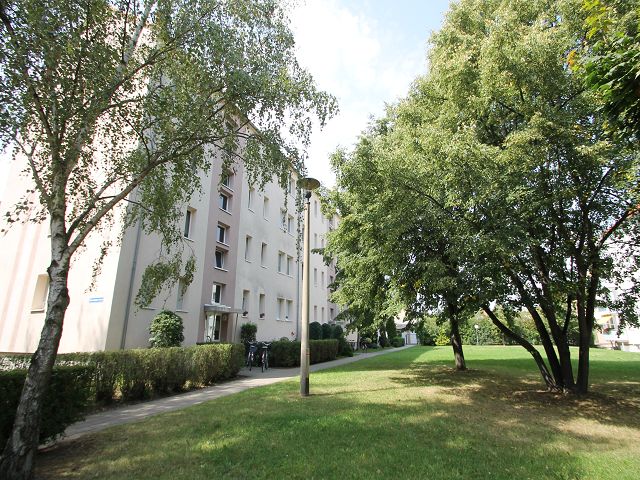 Wohnung zur Miete 379 € 3 Zimmer 56,2 m²<br/>Wohnfläche EG<br/>Geschoss Tolstoiallee 11 Bernburg Bernburg (Saale), Stadt 06406