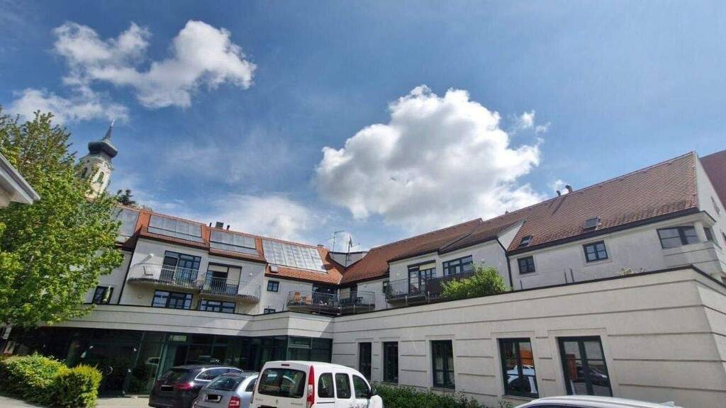 Studio zur Miete 679 € 1 Zimmer 50,7 m² frei ab sofort Pfarrgasse Mistelbach 2130