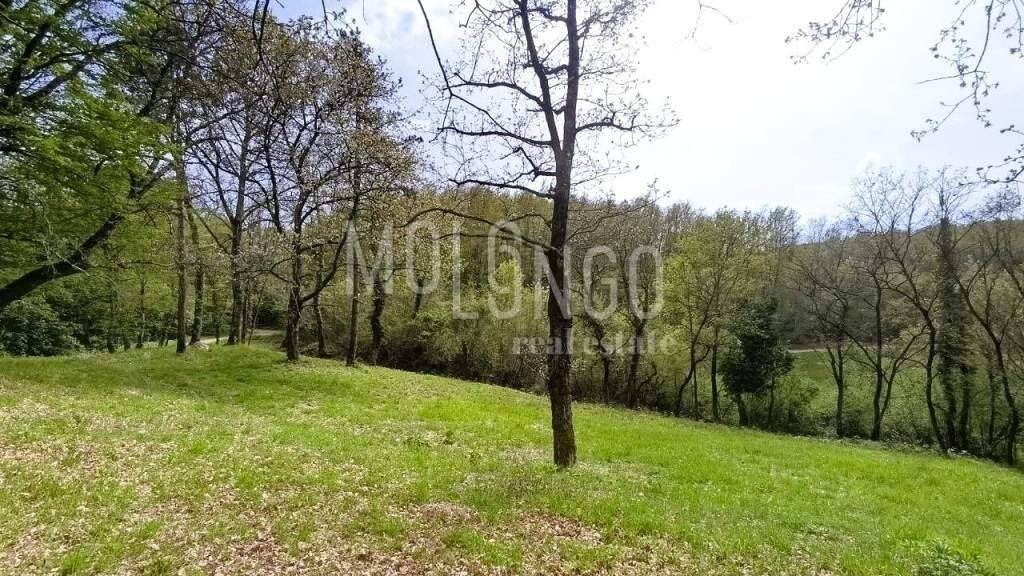 Land-/Forstwirtschaft zum Kauf 78.000 € Mecari, Pazin Pazin