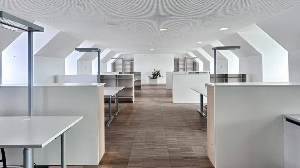 Bürogebäude zur Miete 1.081 m² Bürofläche Neugasse Urfahr Linz 4040