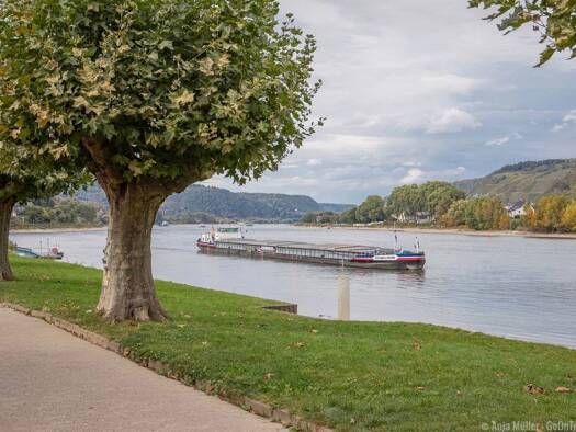 Wohnung zur Miete 1.400 € 3,5 Zimmer 90 m² Geschoss 1/2 frei ab 01.01.2027 Andernach Andernach 56626