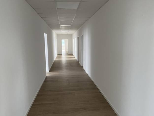 Halle/Industriefläche zur Miete 8 € teilbar ab 200 m² Billbrook Hamburg 22113