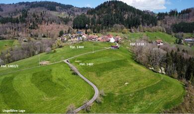 Grundstück zum Kauf 75.000 € 38.436 m² Grundstück Sattelhof Raitbach Schopfheim 79650