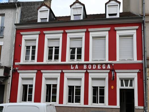 Mehrfamilienhaus zum Kauf 450.000 € 9 Zimmer 300 m² 284 m² Grundstück Centre Ville Sarreguemines 57200