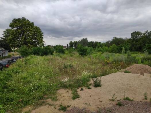 Gewerbegrundstück zum Kauf provisionsfrei 2.000.000 € 9.600 m² Grundstück Wilhelm-Kobelt-Straße Stadtfeld Ost Magdeburg 39108