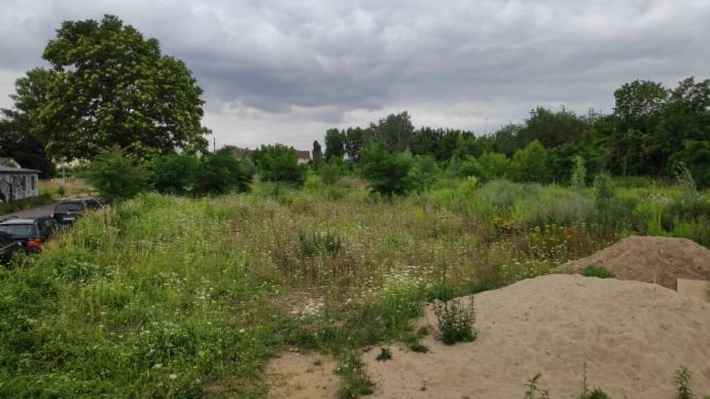 Gewerbegrundstück zum Kauf provisionsfrei 2.000.000 € 9.600 m² Grundstück Wilhelm-Kobelt-Straße Stadtfeld Ost Magdeburg 39108