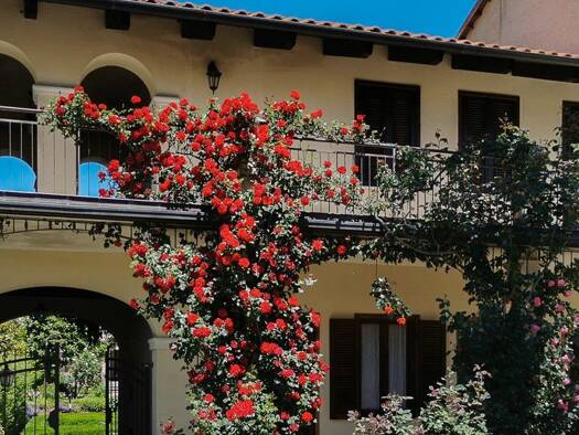 Haus zum Kauf 1.650.000 € 1.880 m² Romano Canavese 10090