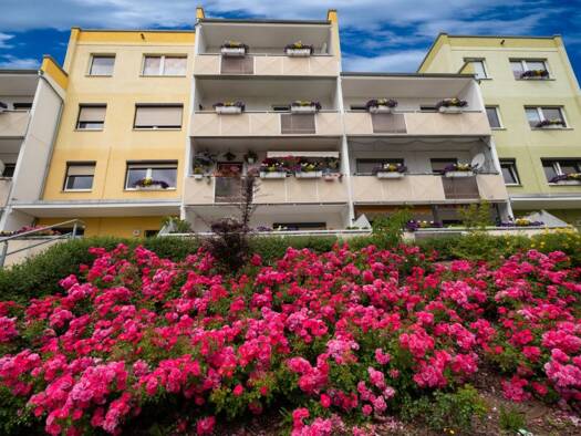 Wohnung zur Miete 596 € 4 Zimmer 90,3 m² 1. Geschoss August-Bebel-Str. 49 Hohenmölsen 06679